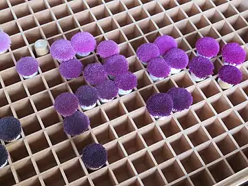 Pompons d'une variété de violets ordonnés dans des cases