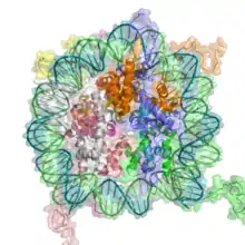 Structure du nucléosome