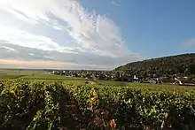 Vue de Nuits-Saint-Georges entourée de coteaux de vignes.