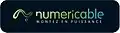 Logo Numericable de août 2007 à février 2008.