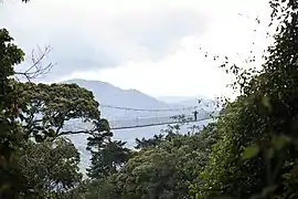 Pont suspendu dans le Nyungwe.