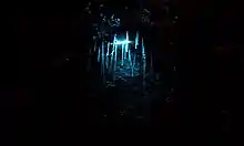 Photo d'une lumière bleutée dans une cavité sombre