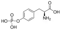 Image illustrative de l’article O-Phosphotyrosine