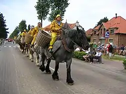 File de pêcheurs en ciré jaune dans le cortège