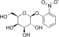 Image illustrative de l’article Ortho-nitrophényl-β-galactoside