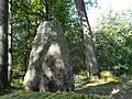 Le menhir de la Pierre Levée