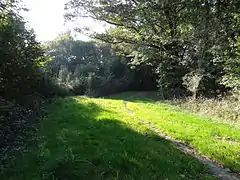 Une invitation à la découverte du sous-bois