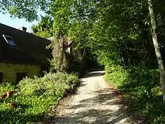 Photographie en couleurs d'un chemin passant entre un bâtiment et une haie d'arbres.