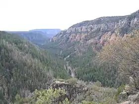 Vue du canyon Oak Creek depuis son extrémité septentrionale.