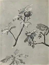 Étude de brindilles de chêne au printemps, illustration pour International Studio an Illustrated Magazine of Fine and Applied Art (1908).