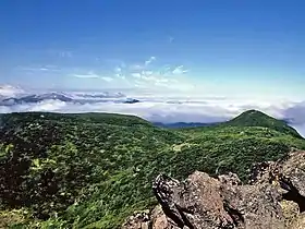 Vue de la zone des pins nains de Sibérie du mont Oakan, en direction du mont Meakan.