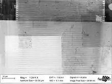 Observation d'une onde de Rayleigh par microscope électronique à balayage