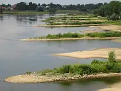 Épis de rivière en pierre sur l'Oder