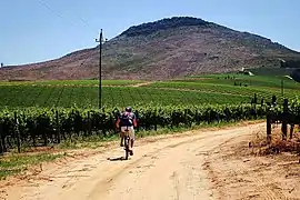 Œnotourisme à travers le vignoble.