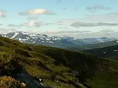 Oldfjällen en été