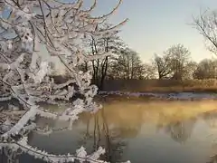 Paysage d'hiver. L'Ognon.