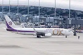 Un Boeing 737-800 revêtu de l'ancienne livrée