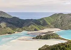 Photographie d'un cordon dunaire ; en arrière-pla,; une côte boisée.