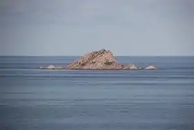 Île de Molarotto