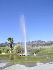Le geyser Old Faithful de Calistoga