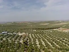 Estepa, en Andalousie (Espagne)