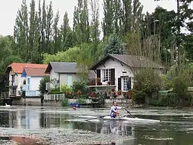 Aviron à Cotelle, Olivet