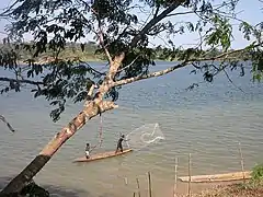 Pêche au filet sur l'Oubangui.