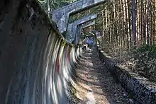 Photo d'une piste en béton avec des graffitis dans une forêt.