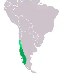 Carte d'Amérique du Sud avec aire de répartition du Guigna