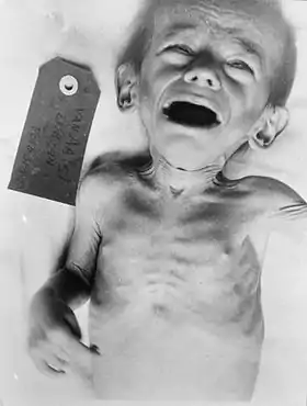 Image illustrative de l’article Famine aux Pays-Bas en 1944