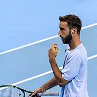 Image illustrative de l’article Nikola Milojević (tennis)