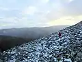 Côté est de l'oppidum de la Fare. Vue vers le sud.