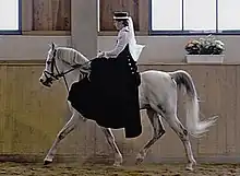 Cavalière en amazone sur un cheval gris vu de profil.