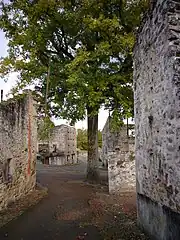 Photographie en couleurs de l'arbre de la liberté d'Oradour-sur-Glane, intact après l'incendie du village