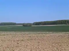 Photographie en couleurs de grandes parcelles agricoles avec une forêt en arrière-plan.