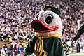 The Oregon Duck mascotte des Ducks d'Oregon