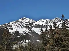 Le crêt Fénère, un sommet de la partie nord d'Orelle (adret).