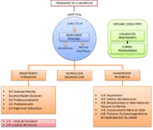 Cliquer ici pour voir l'organigramme de l'IH.SM