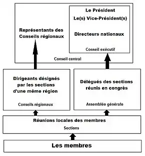 Organigramme des instances du RIN