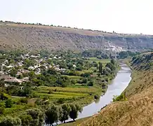 Paysage du centre de la Moldavie (falaises d'Orheiul Vechi).