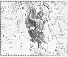 Constellation d'Orion - 1690 (Uranographia) - La vue est inversée pour correspondre à la vision avec un télescope