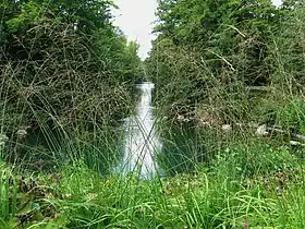 Source du Bouillon,parc floral de la Source