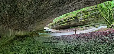 Abri-sous-roche aux Baumes Bourla.