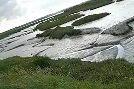 Estuaire de l'Orne à Sallenelles.