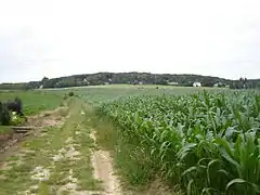 Vue sur le mont de l'Enclus