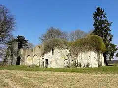 Ruines de l'église Notre-Dame.