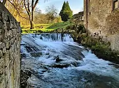 Le barrage de l'ancien moulin sur l'Audeux.