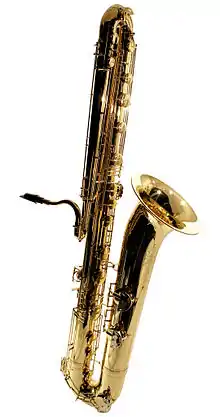 Image illustrative de l’article Saxophone contrebasse