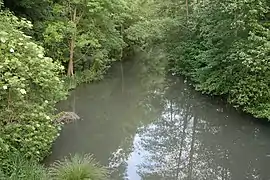 L'Orvanne arrive dans la retenue d'eau, à Écuelles, dans la commune de Moret-Loing-et-Orvanne.