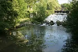 L'Orvanne à la sortie de la retenue d'eau d'Écuelles à Moret-Loing-et-Orvanne.